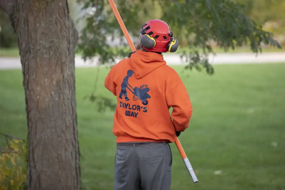 Tree Trimming