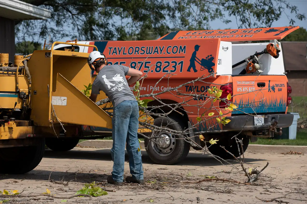 Family owned for over 50 years — Taylor's Way