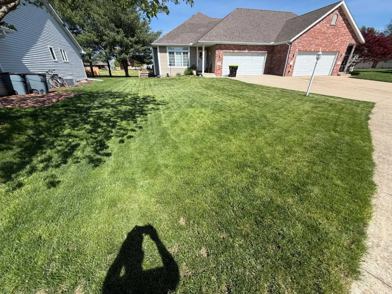 The same lawn after one year of Taylor's Way care